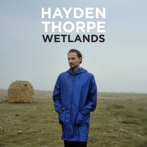 Hayden Thorpe - Wetlands (Accessible Version)