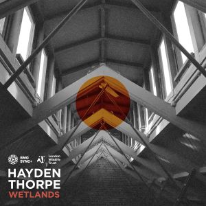 Hayden Thorpe - Wetlands
